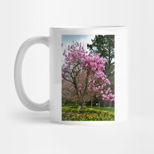 Magnolia Tree Batsford Arboretum Cotswolds UK Mug